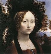 LEONARDO da Vinci Portrait of Ginevra de Benci painting
